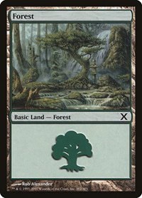 Forest - Foil