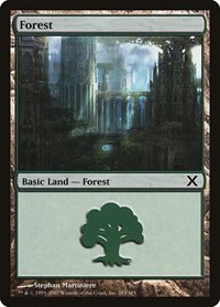 Forest