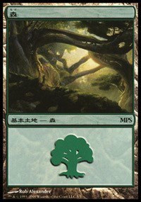 Forest - Foil Forest 58251