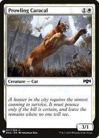 Prowling Caracal - Normal Prowling Caracal