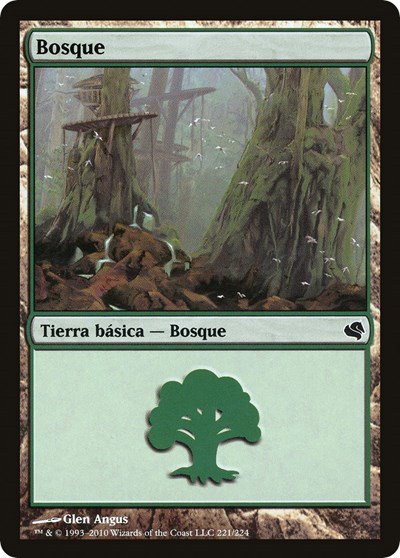 Forest (Spanish) - "Bosque"