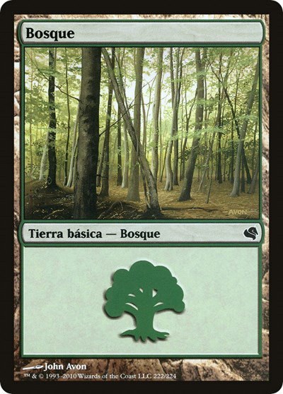 Forest (Spanish) - "Bosque"