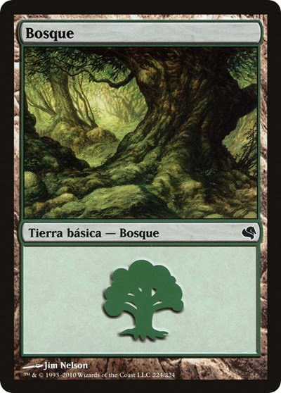 Forest (Spanish) - "Bosque"