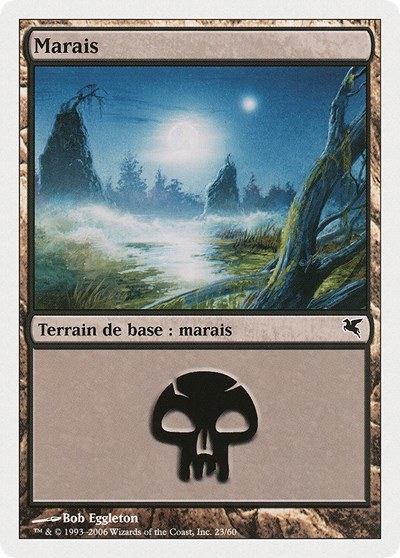 Swamp (French) - "Marais" - French