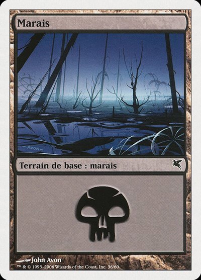 Swamp (French) - "Marais" - French