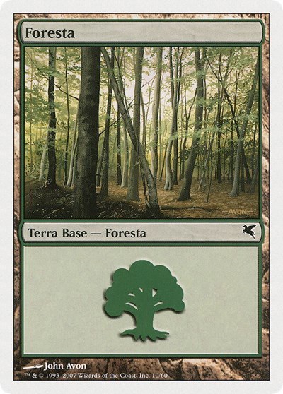 Forest (Italian) - "Foresta" - Italian