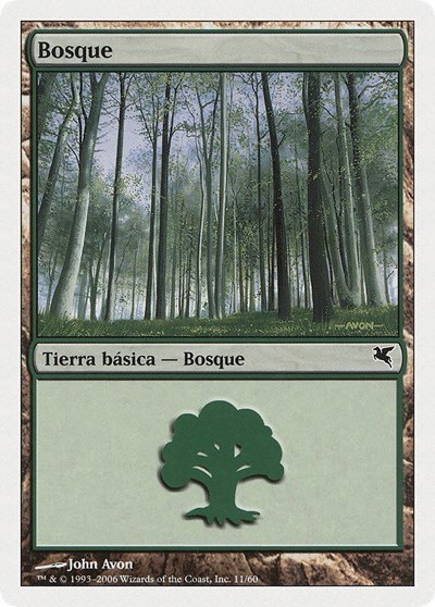 Forest (Spanish) - "Bosque" - Spanish