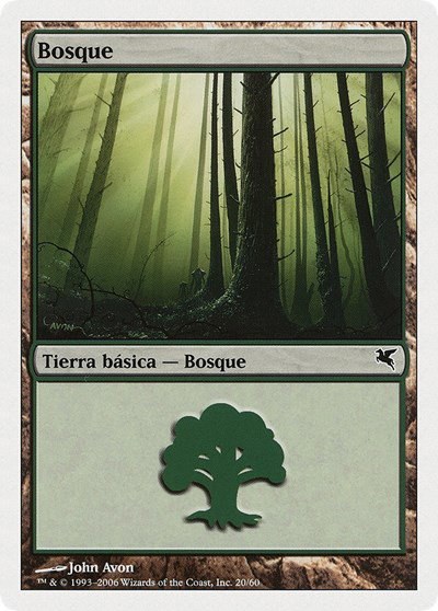 Forest (Spanish) - "Bosque" - Spanish