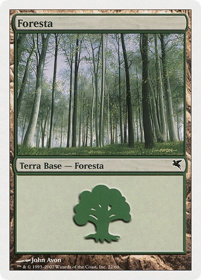 Forest (Italian) - "Foresta" - Italian