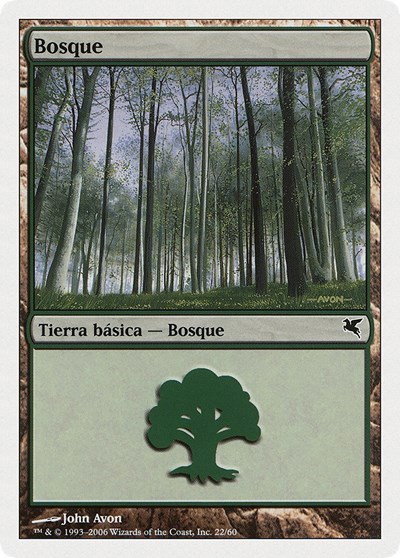 Forest (Spanish) - "Bosque" - Spanish