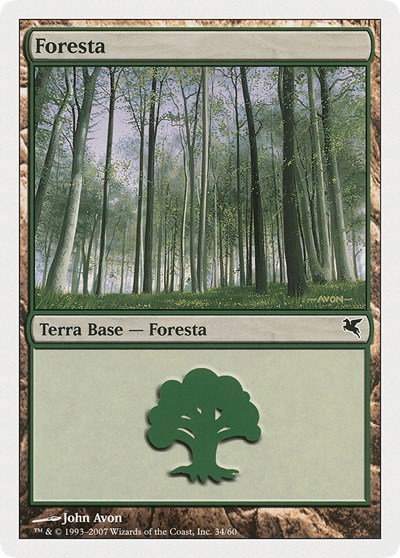 Forest (Italian) - "Foresta" - Italian