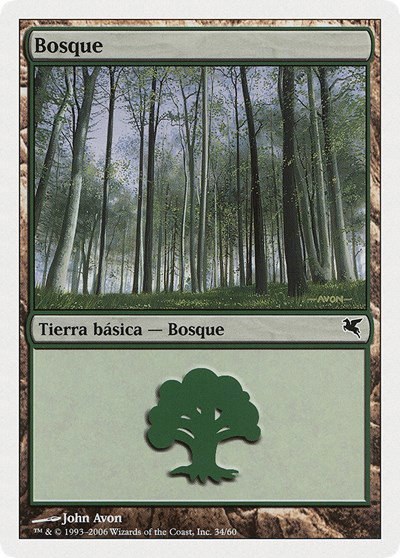 Forest (Spanish) - "Bosque" - Spanish