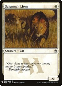 Savannah Lions - Normal Savannah Lions