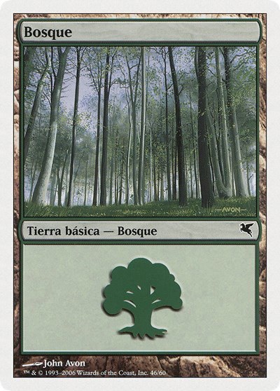 Forest (Spanish) - "Bosque" - Spanish