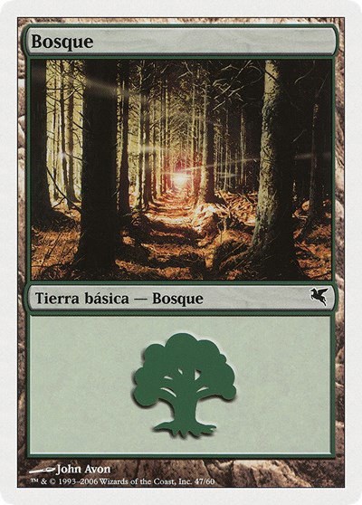 Forest (Spanish) - "Bosque" - Spanish