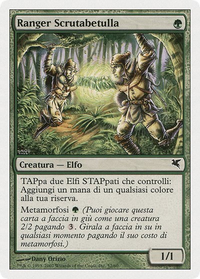 Birchlore Rangers (Italian) - "Ranger Scrutabetulla" - Italian