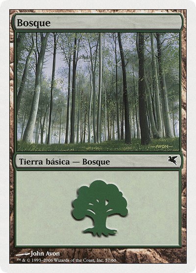 Forest (Spanish) - "Bosque" - Spanish
