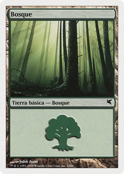 Forest (Spanish) - "Bosque" - Spanish