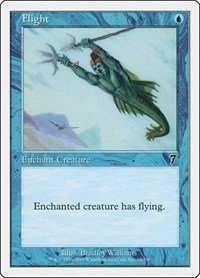Flight - Foil