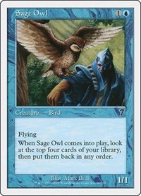 Sage Owl - Foil