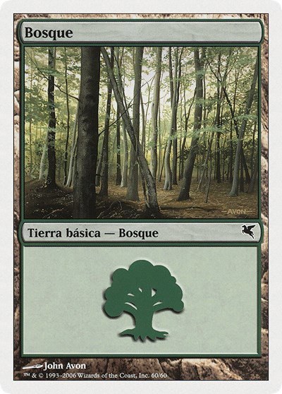 Forest (Spanish) - "Bosque" - Spanish