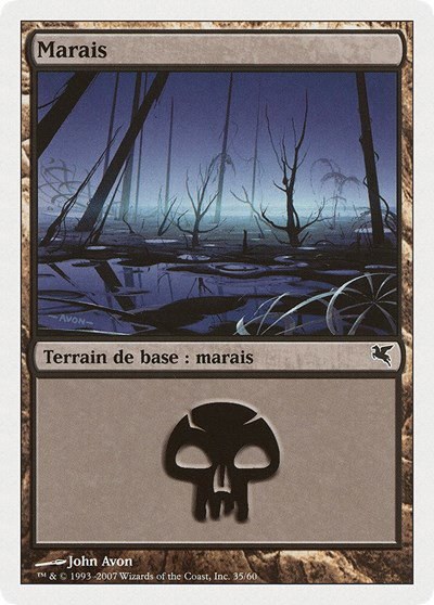 Swamp (French) - "Marais" - French
