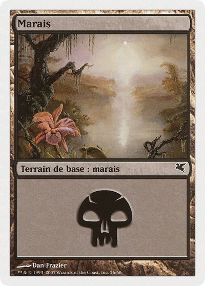 Swamp (French) - "Marais" - French
