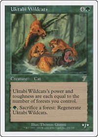 Uktabi Wildcats - Foil