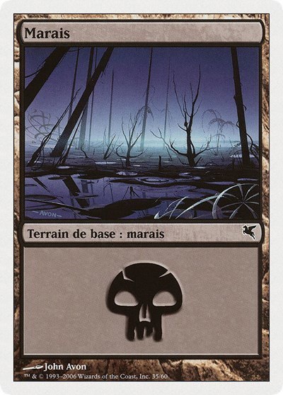 Swamp (French) - "Marais" - French