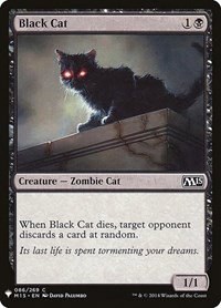 Black Cat - Normal Black Cat
