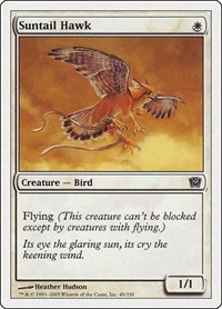 Suntail Hawk - Foil