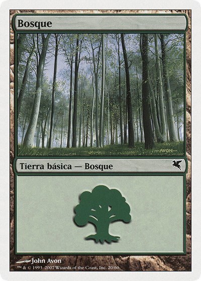Forest (Spanish) - "Bosque" - Spanish