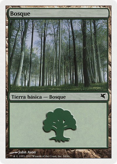Forest (Spanish) - "Bosque" - Spanish