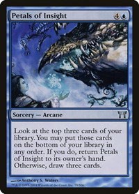 Petals of Insight - Foil