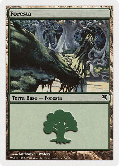 Forest (Italian) - "Foresta"