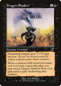 Dragon Shadow