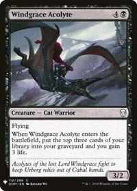 Windgrace Acolyte - Normal Windgrace Acolyte