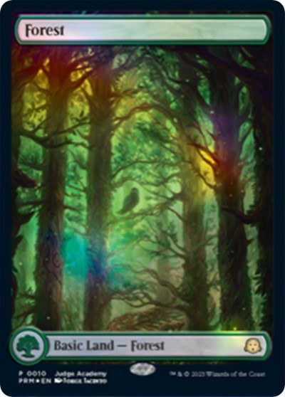 Forest - Full Art - Foil Forest Full Art