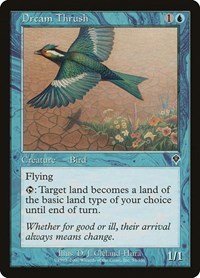 Dream Thrush - Foil