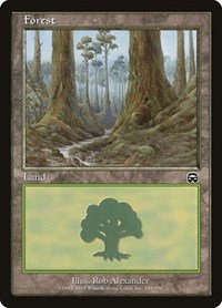 Forest - Foil