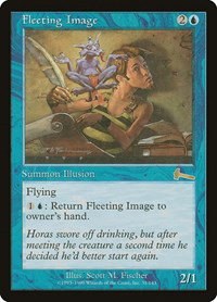 Fleeting Image - Foil