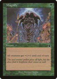 Magnify - Foil
