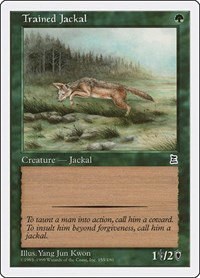 Trained Jackal - Normal Trained Jackal