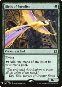Birds of Paradise - Normal Birds Of Paradise