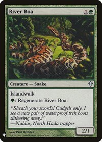 River Boa - Normal River Boa