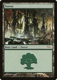 Forest - Normal Forest 37985