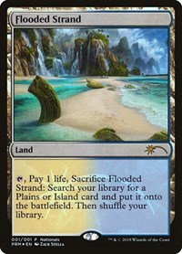 Flooded Strand - Foil Flooded Strand