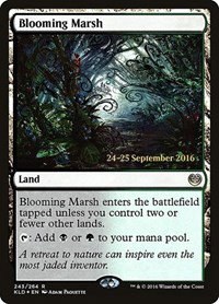Blooming Marsh - Kld