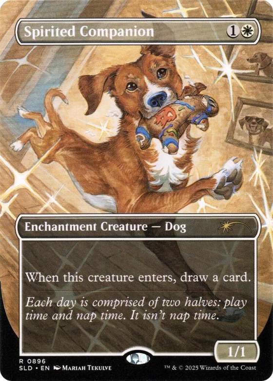Spirited Companion