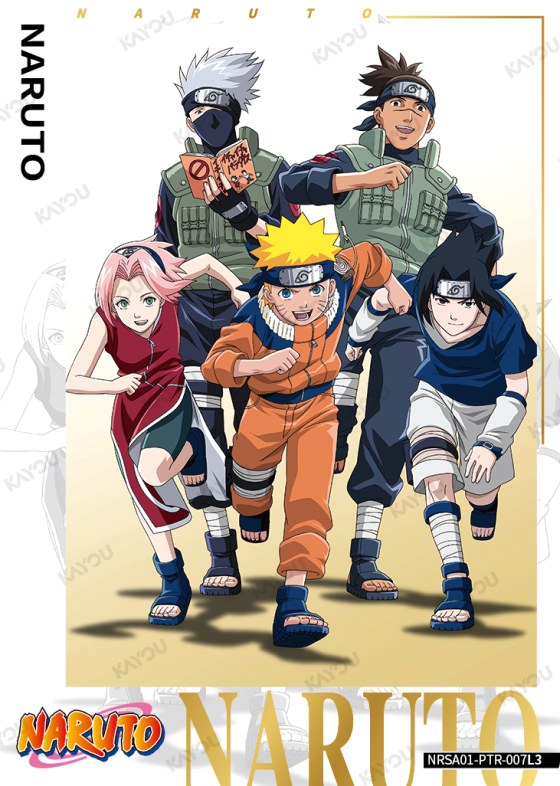 Team 7 & Iruka
